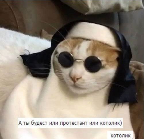 Соша Брагиня