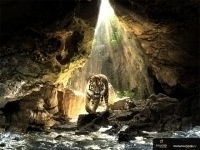 Светлана Шурыгина