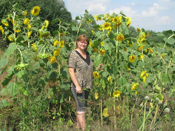 Ирина Курбатова