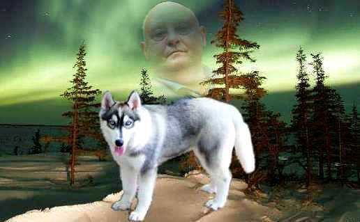 Виктор Шелякин