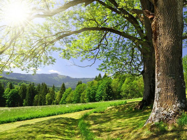 Фатима Темукуева