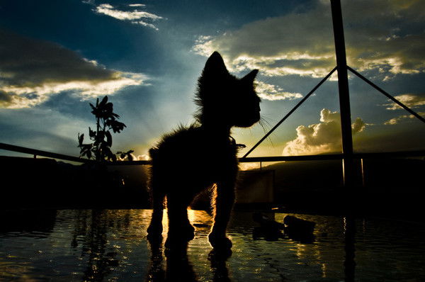 Сергей Пискарёв