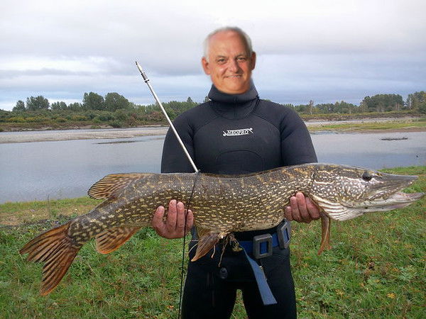 Сергей Кириллов