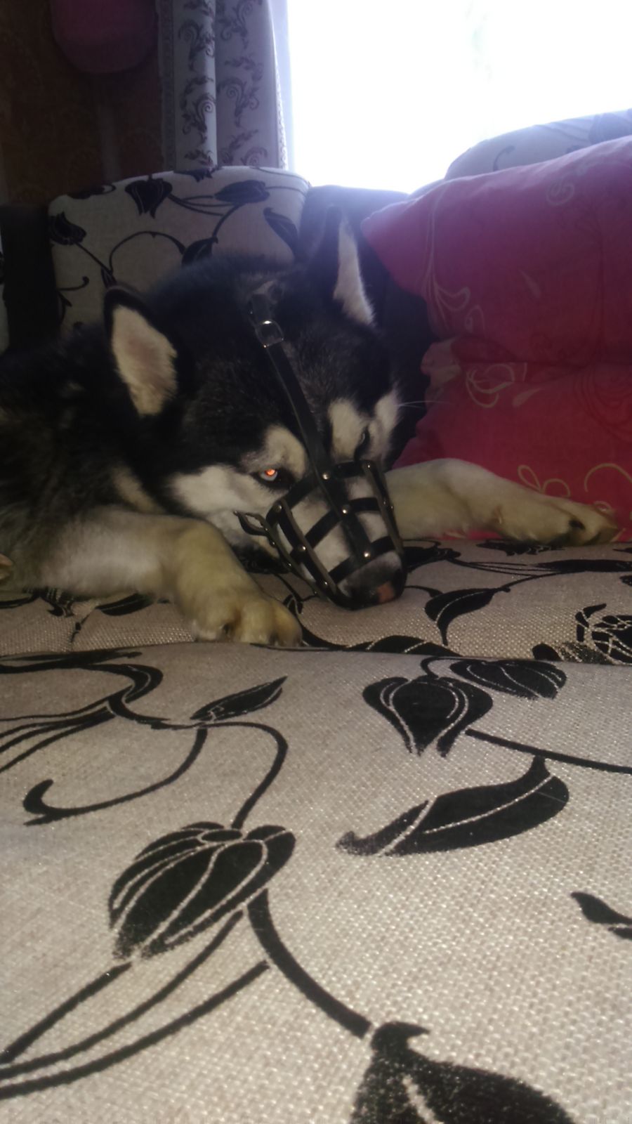 Илья Бесходарный