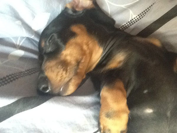 Александр Воробьев