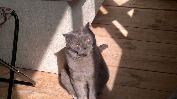 Александр Малышев