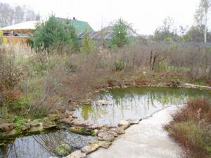 Альберт Гайсин