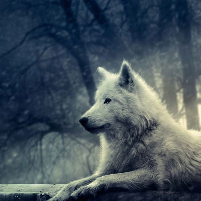 Галина Викторовна