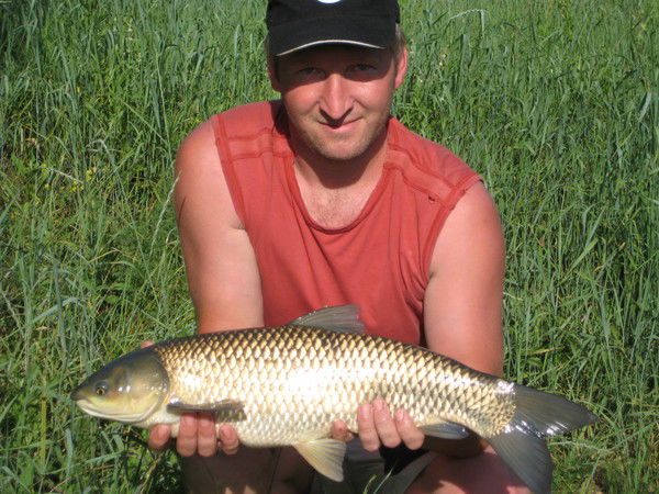 Николай Осипишин