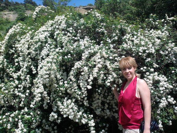 Алла Лиходедова