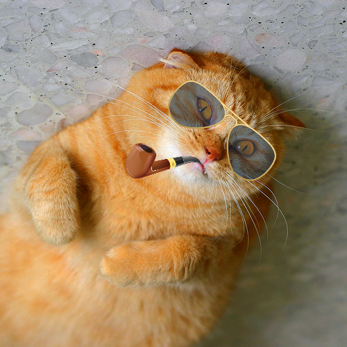 Андрей Вавилов