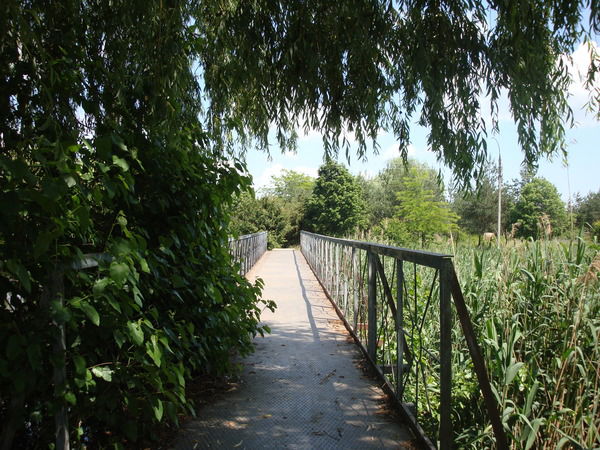 Иван Иванов