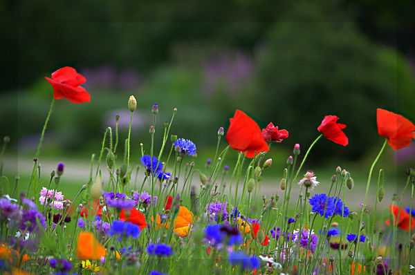 Айгуль Сафиуллина Аглямова