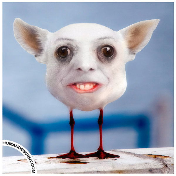 Владислав Барсело