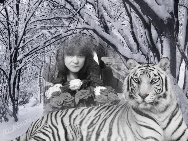 Светлана Колягина