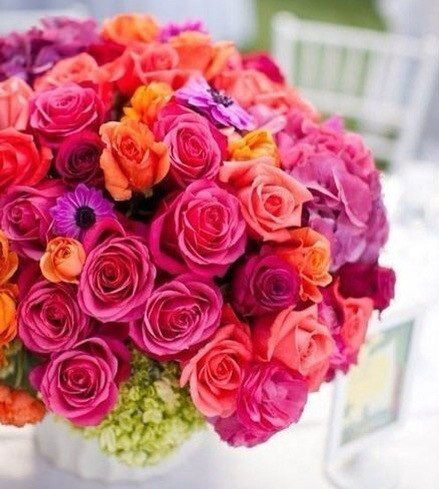 Екатерина Шкурко