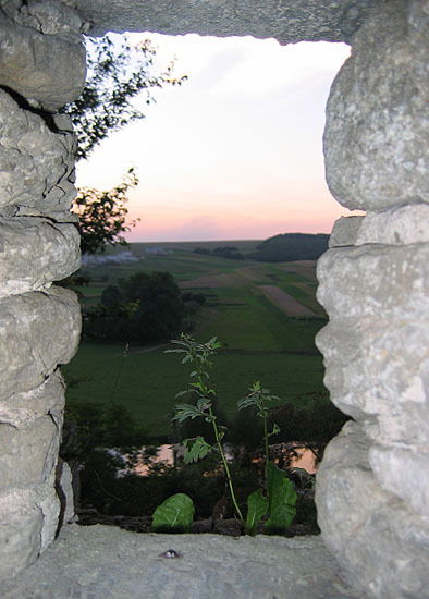 Олег Федоров