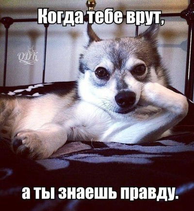 Анжелина Будякова