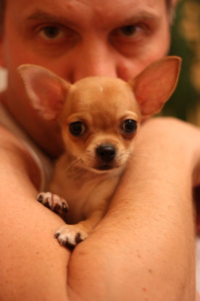 Игорь Кириллов