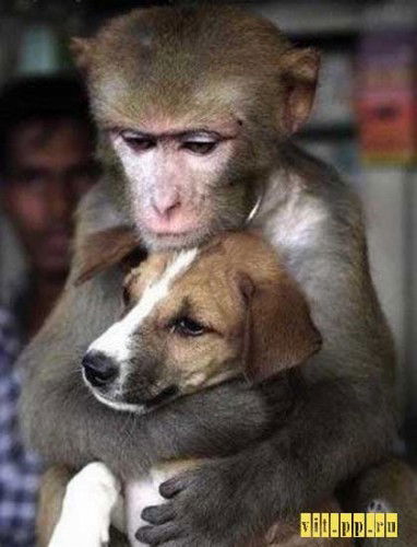 Анна Мальшакова