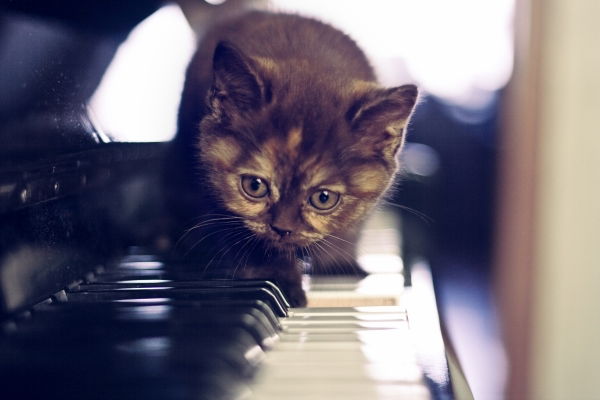 Анна Мандрыгина