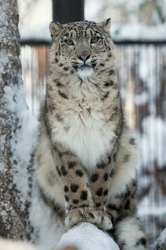 Галина Воробьева