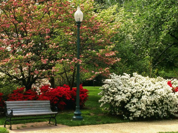 Любовь Николаевская