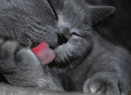 Ольга Ольга