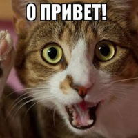 Валерий Баркин