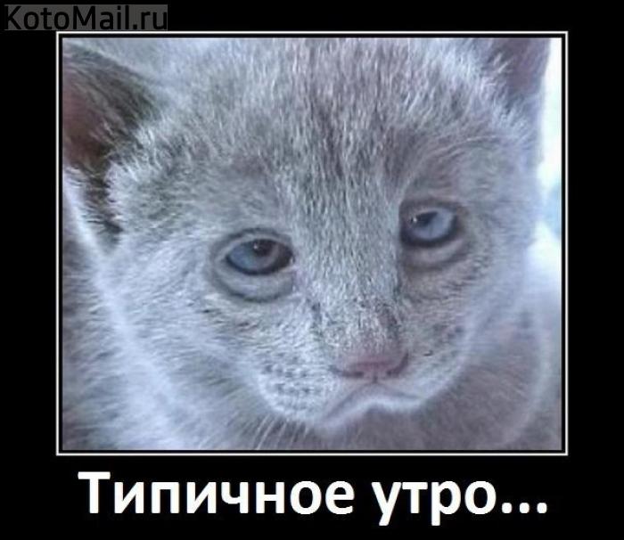 Андрей Черемисин