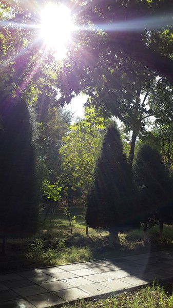 Алмагуль Муратова