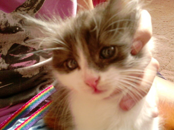 Арина Хуббатуллина