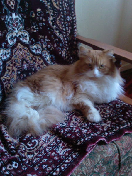 Александр Гребенников