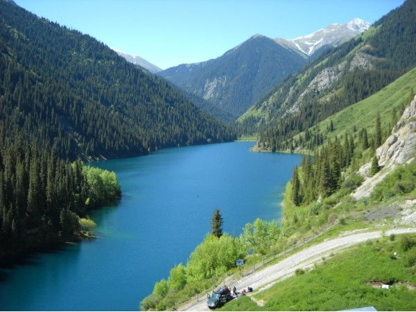 Михаил Токарев