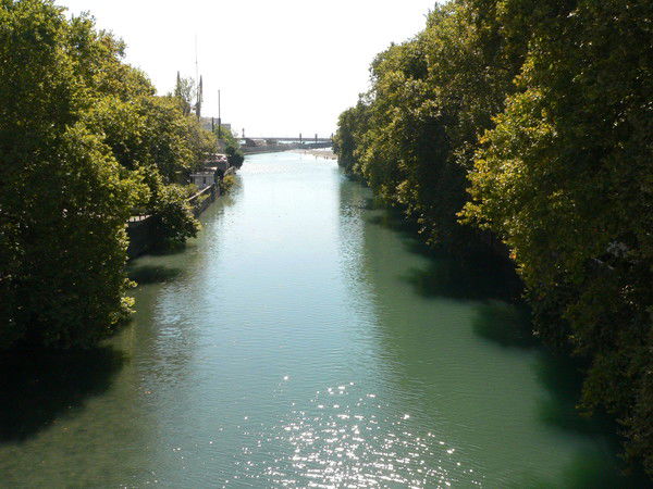 Алла Хорошевская