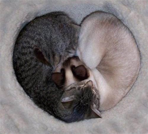 Аксана Ташмагомбетова