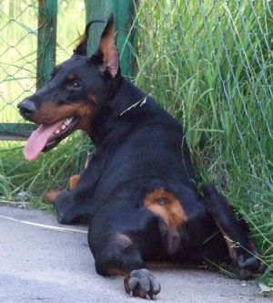 Лариса Одинцова