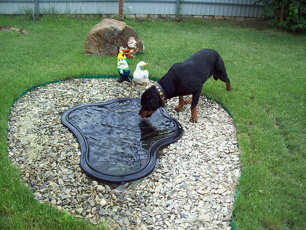 Нина Касьянова