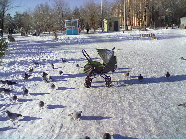 Асема Кияшева