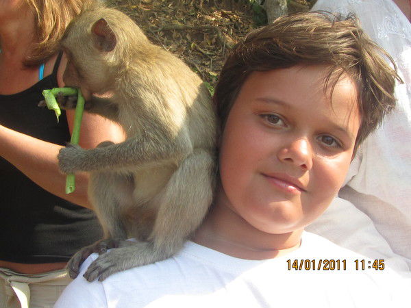 Дима Куликов