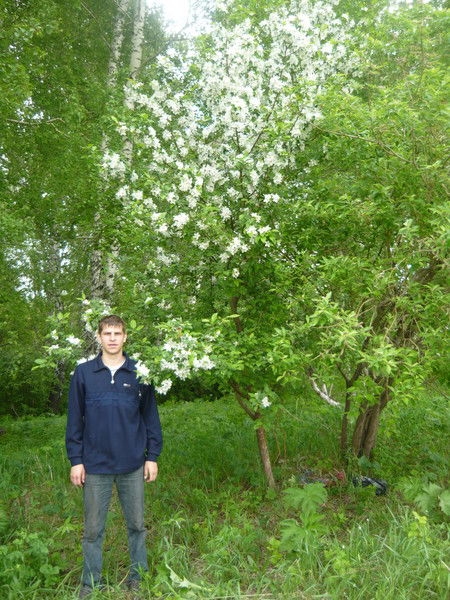 Константин Карчин