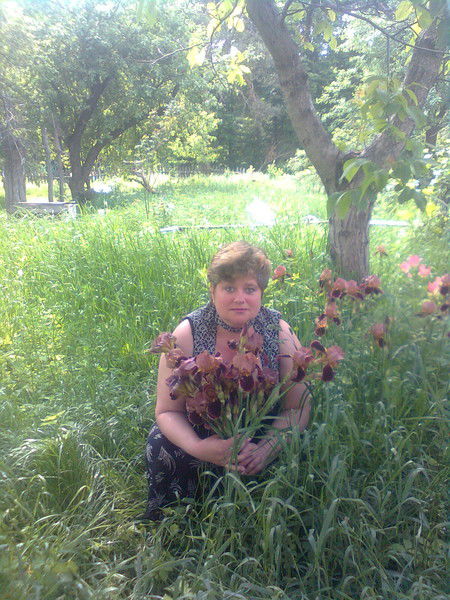 Елена Гришаева