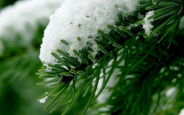 Витаминка Витаминка