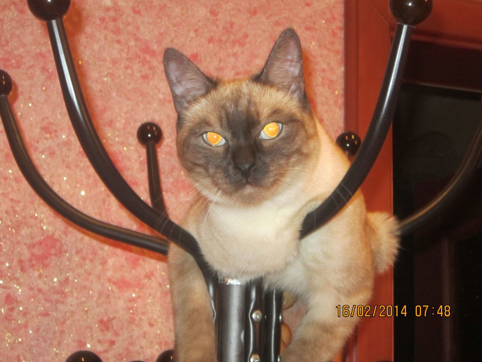 ** К@терин@ **