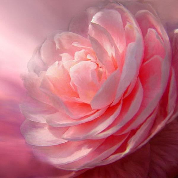 Наталия Костюкова