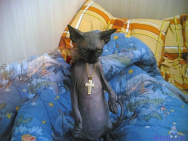 Владимир Дубровский