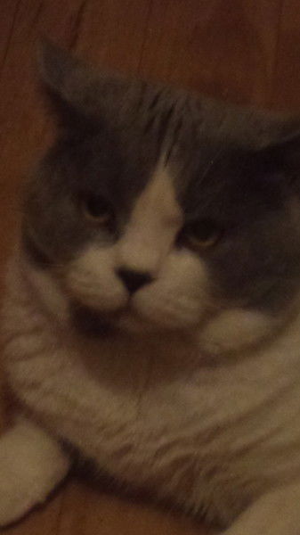 Юна- Юначка