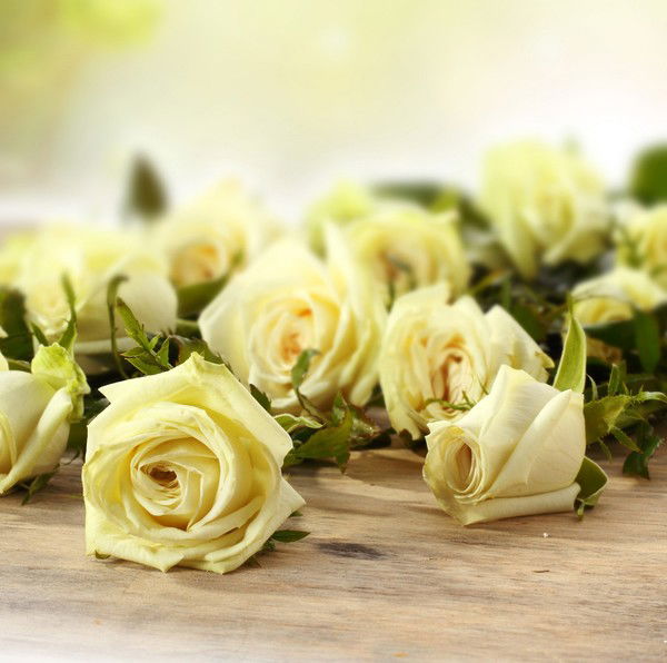 Марина Соловьева