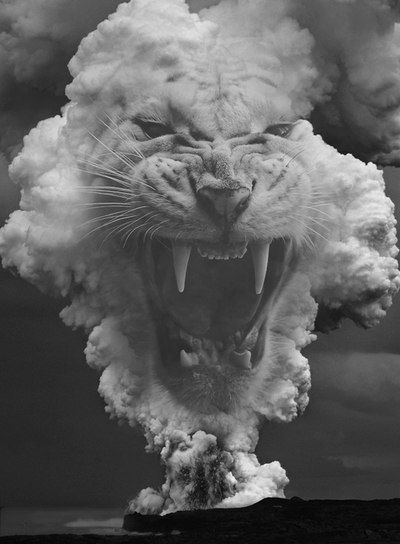 Ленусик Вицке