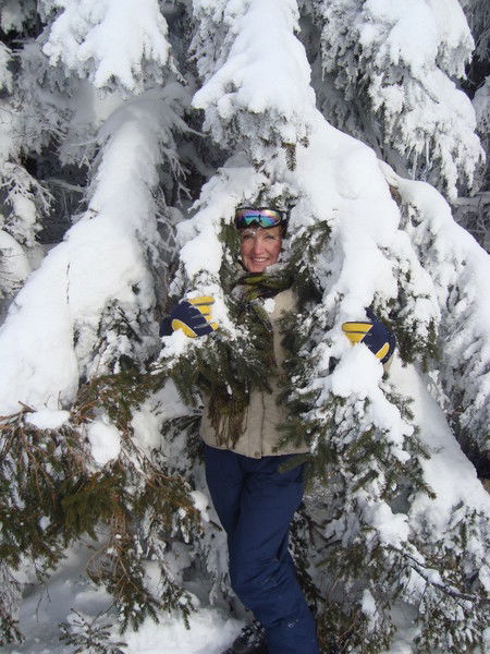 Елена Шаркова